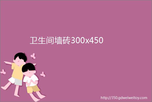 卫生间墙砖300x450