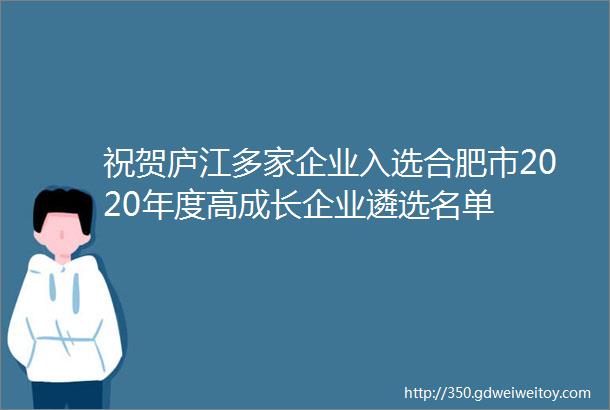 祝贺庐江多家企业入选合肥市2020年度高成长企业遴选名单